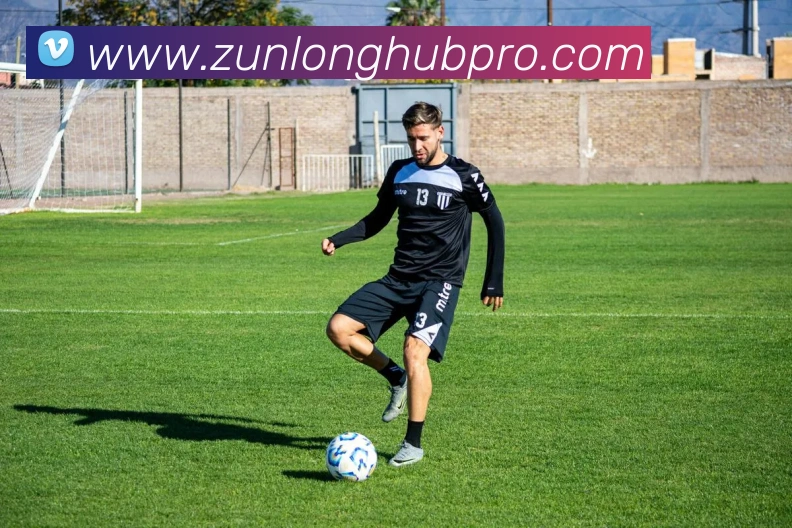 尊龙凯时平台生态图